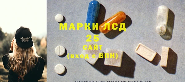 индика Семикаракорск