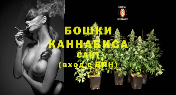 индика Семикаракорск